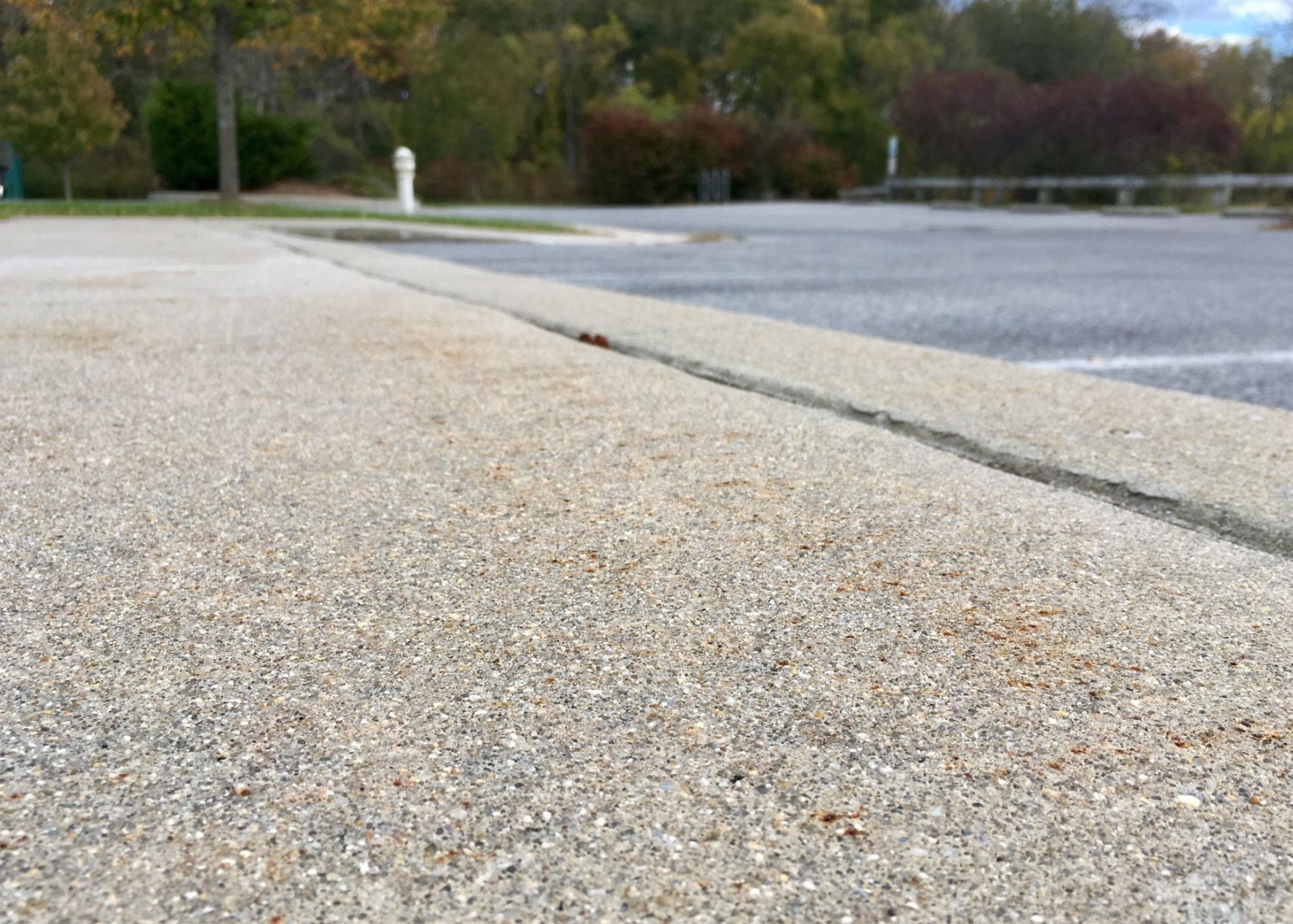 Close-up view of a cracked sidewalk with a parking lot and trees in the background.